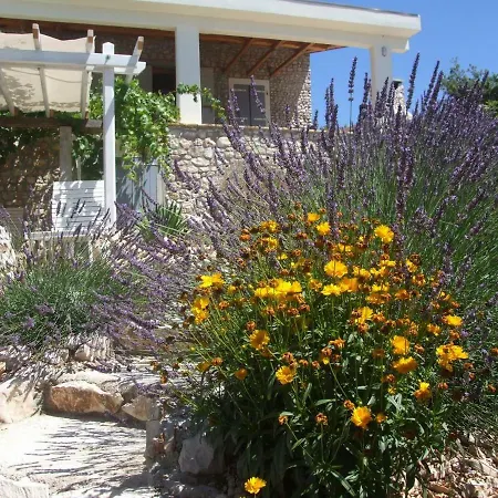 Stone House Marina-sevid, 1 House-1 * Sevid