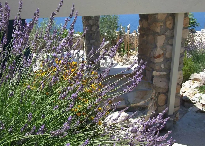 Apartment Stone House Marina-sevid, 1 House-1