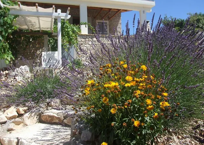 Stone House Marina-sevid, 1 House-1 * Sevid
